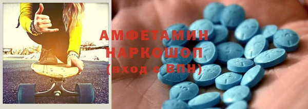 шишки Осинники