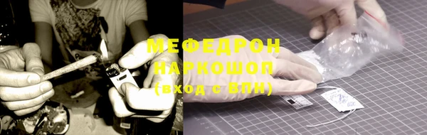шишки Осинники