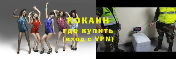 шишки Осинники