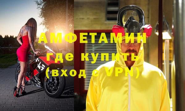 шишки Осинники