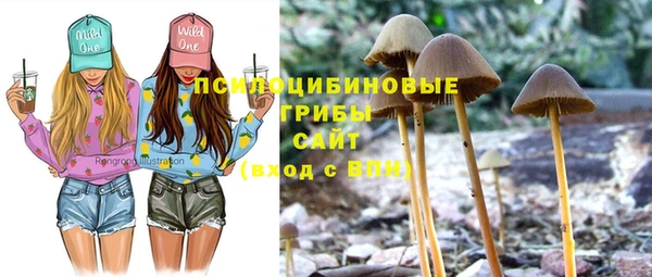 шишки Осинники