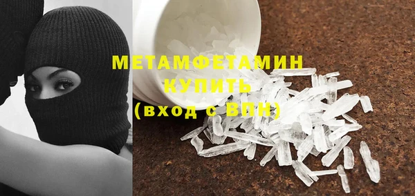 шишки Осинники